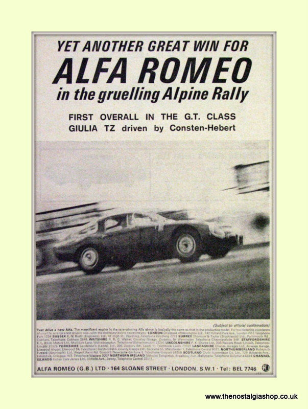 Alfa Romeo. Giulia TZ. Alpine Rally winner. Original Advert 1965 (ref AD50092)
