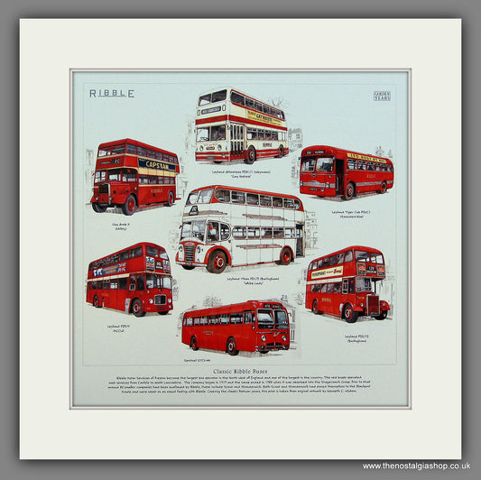 Buses, Classic Ribble Buses. Mounted Print.