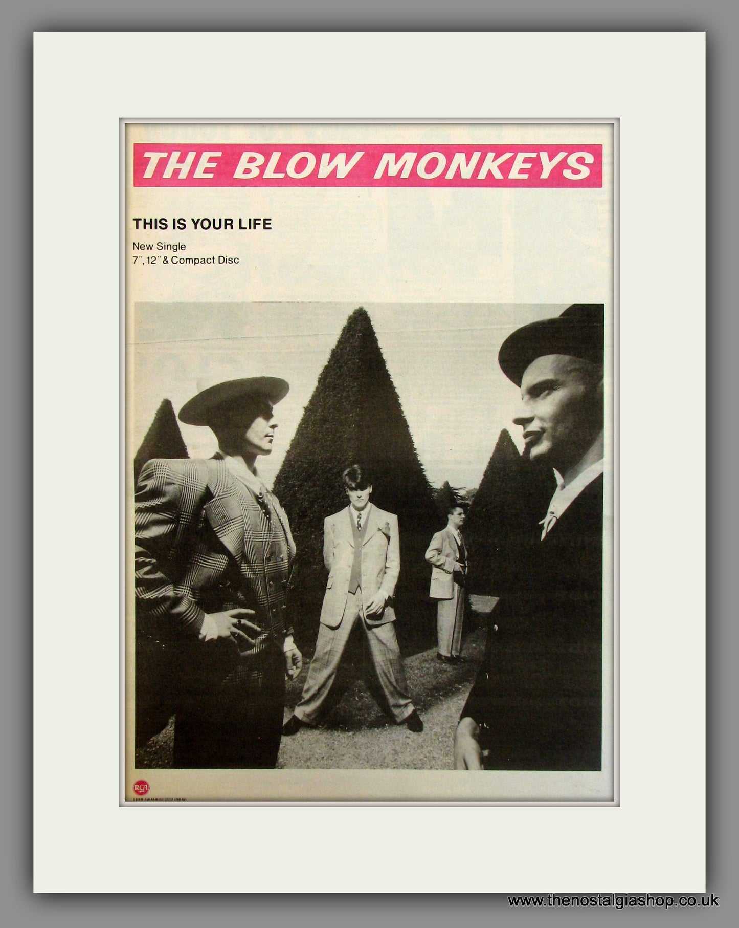 Blow Monkeys. This Is Your Life. Original Advert 1988 (ref AD11658)