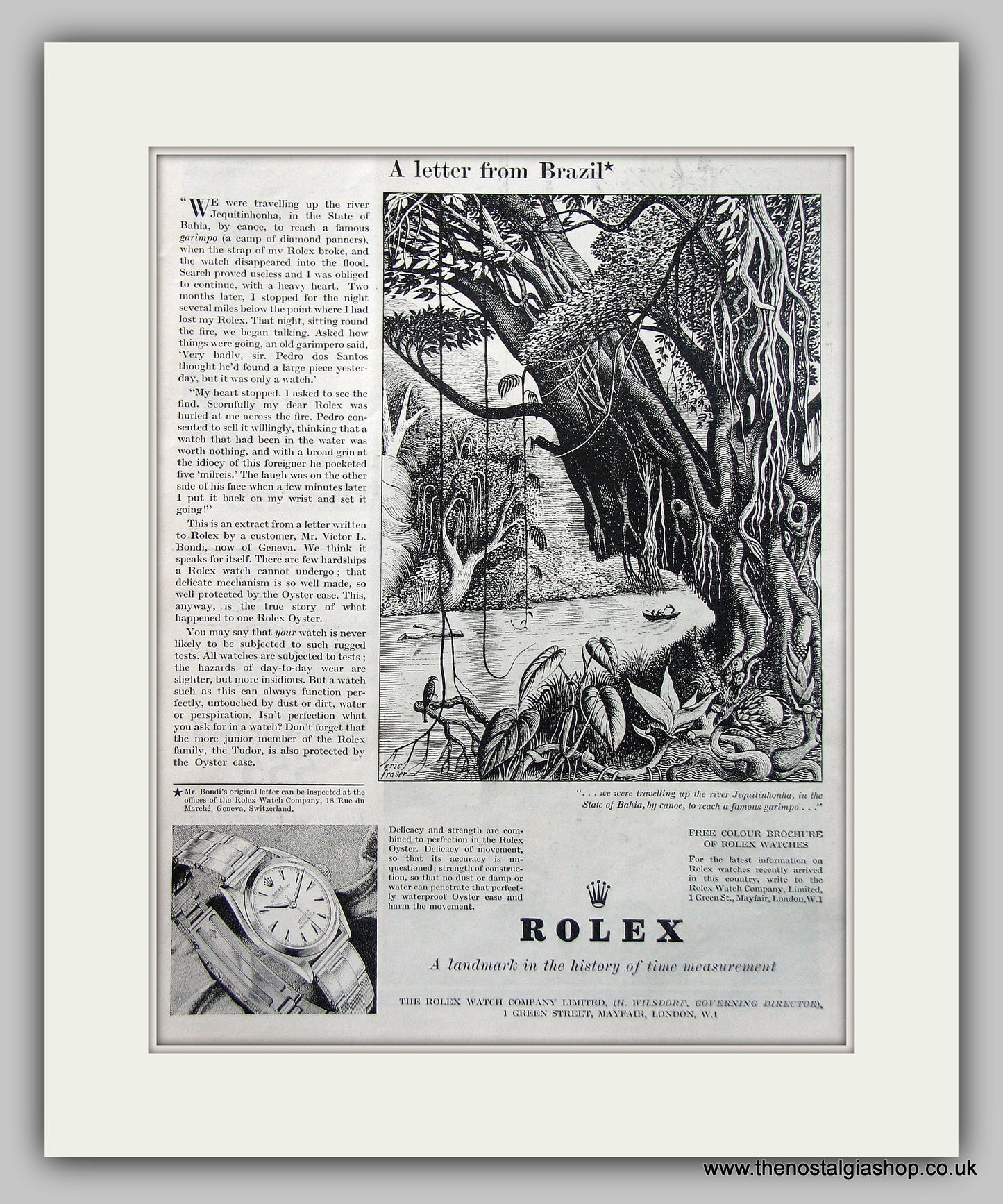 Rolex Oyster Watches Original Advert 1952 (ref AD6875)