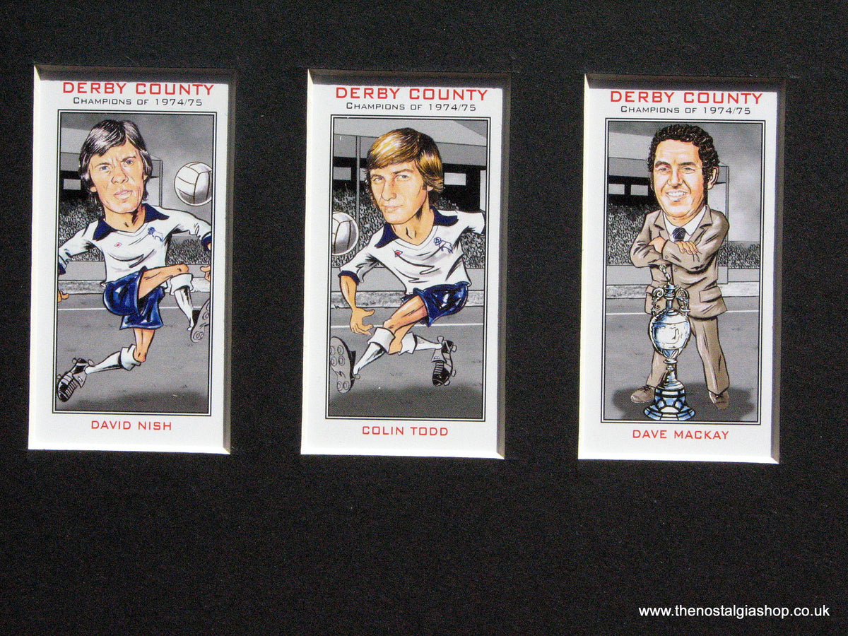 Derby County Champions of 1974-1975. Mounted Football Card Set – The ...