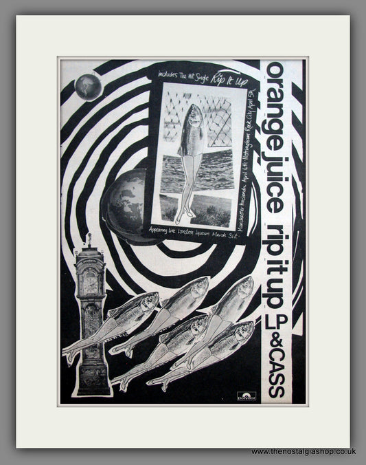 Orange Juice. Rip It Up. Original Advert 1983 (ref AD11902)