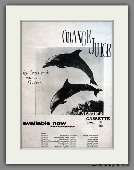 Orange Juice. UK Tour Dates. Original Advert 1982 (ref AD11905)