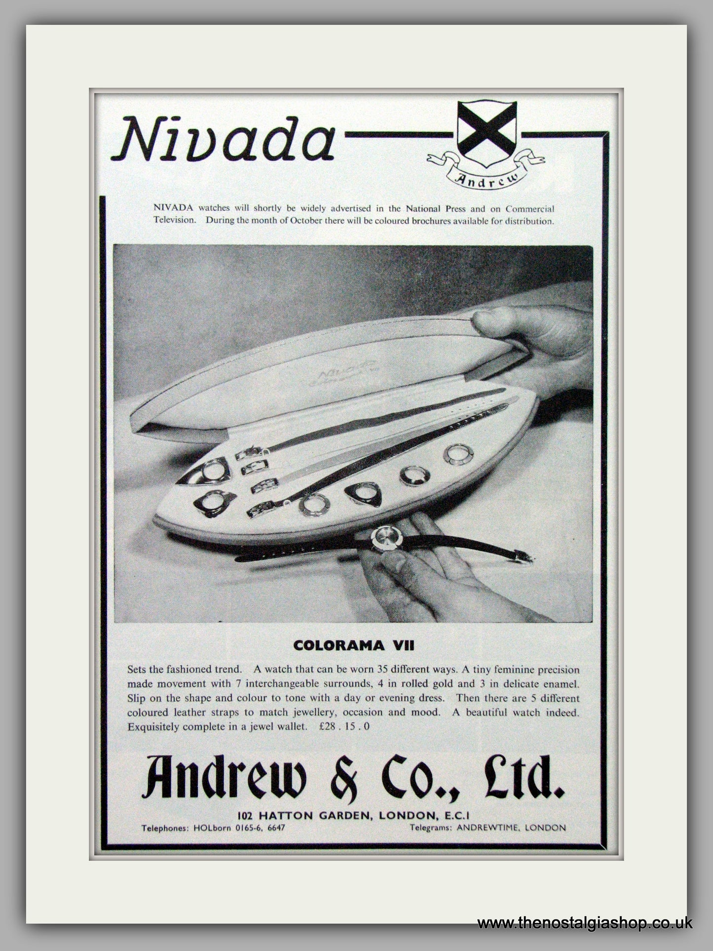 Nivada Colorama VII Watches. Original Advert 1962.  (ref AD7594)