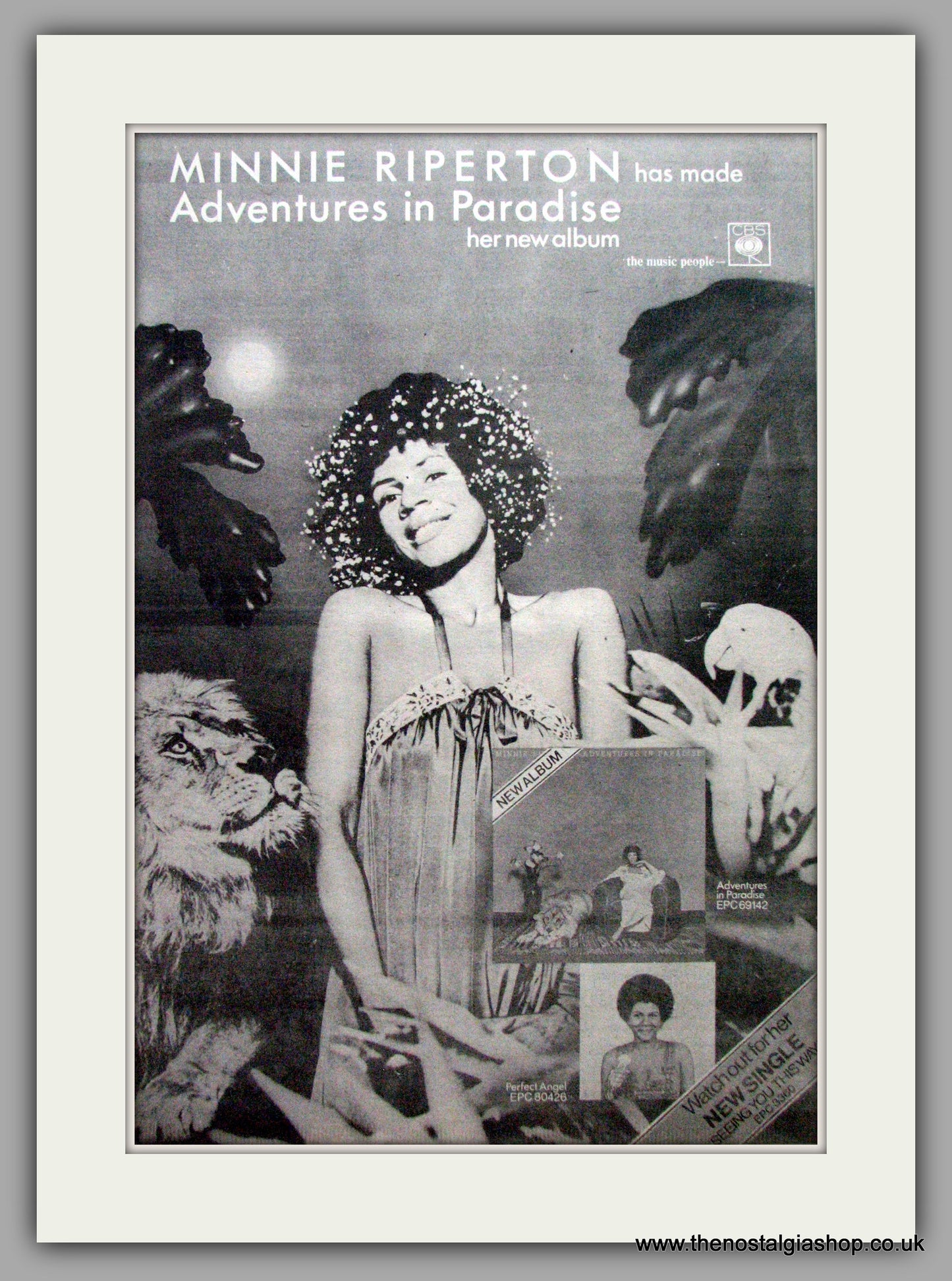 Minnie Riperton. Adventures in Paradise. Vintage Advert 1975 (ref AD9578a)