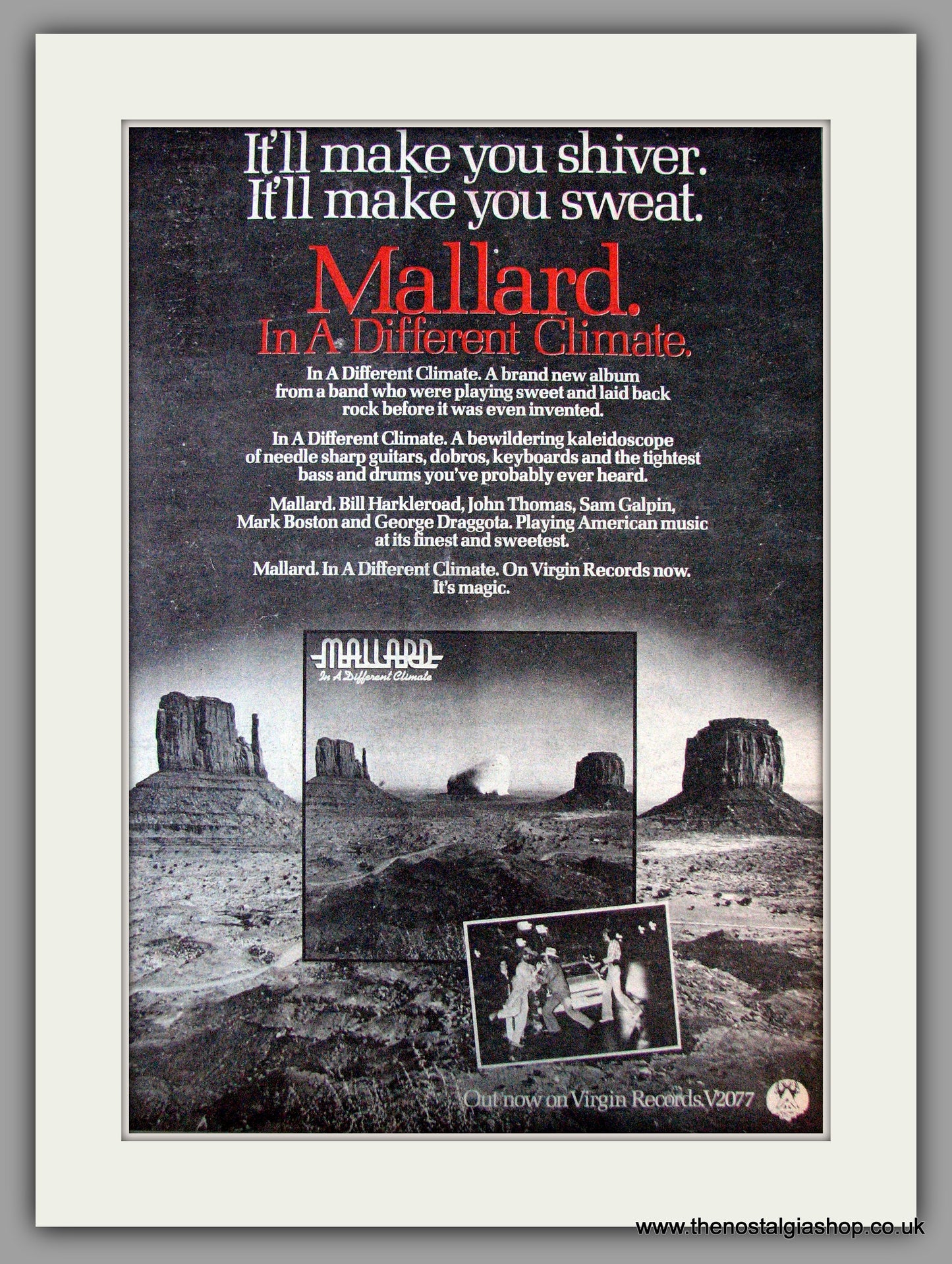 Mallard. In A Different Climate. Vintage Advert 1977 (ref AD9779)