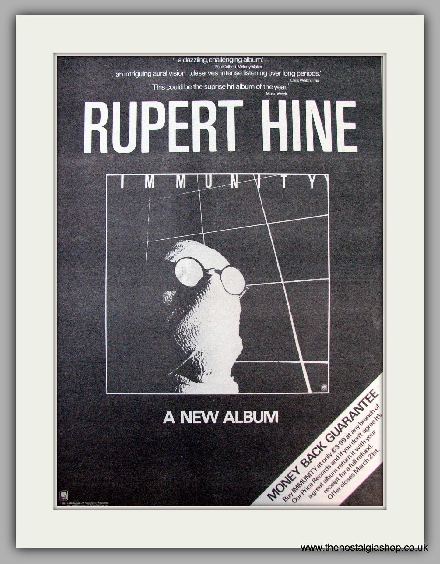Rupert Hine. Immunity. Vintage Advert 1981 (ref AD9860)