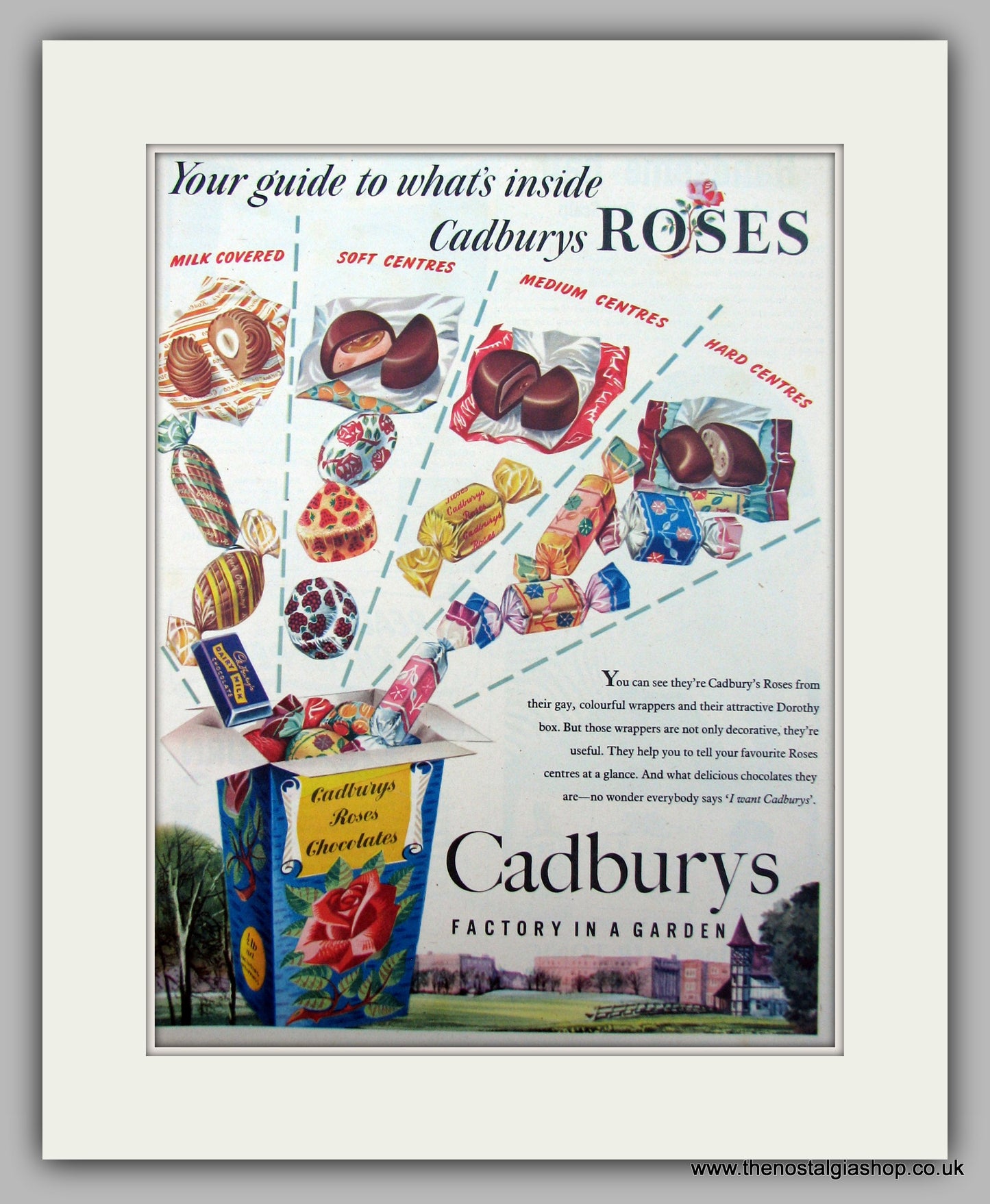 Cadburys Roses Chocolates. Original Advert 1955 (ref AD9939)