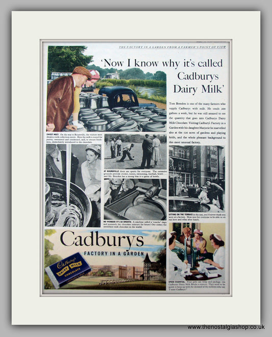 Cadburys Dairy Milk Chocolate Bar. Original Advert 1954 (ref AD9945)