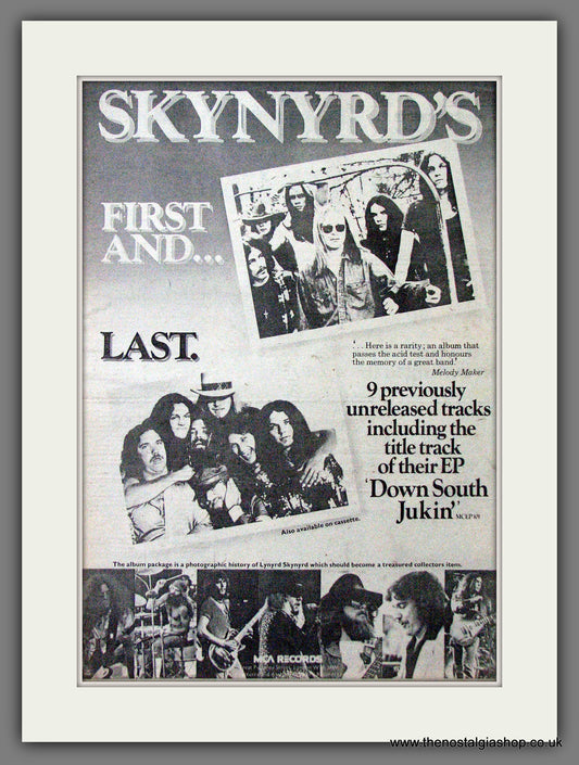 Lynyrd Skynrd First And Last. Original Advert 1978 (ref AD12663)