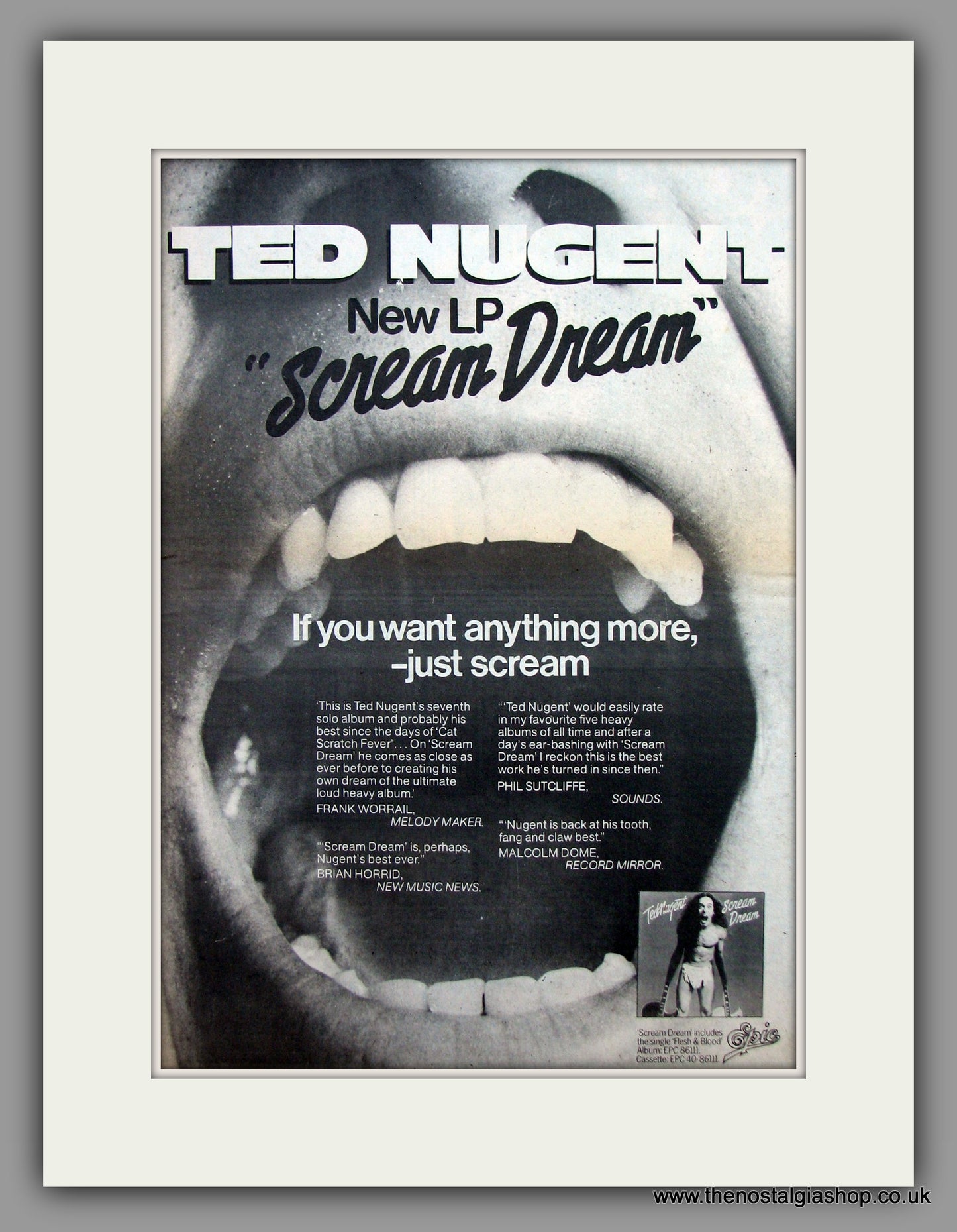Ted Nugent Scream Dream Original Advert 1980 (ref AD10462)