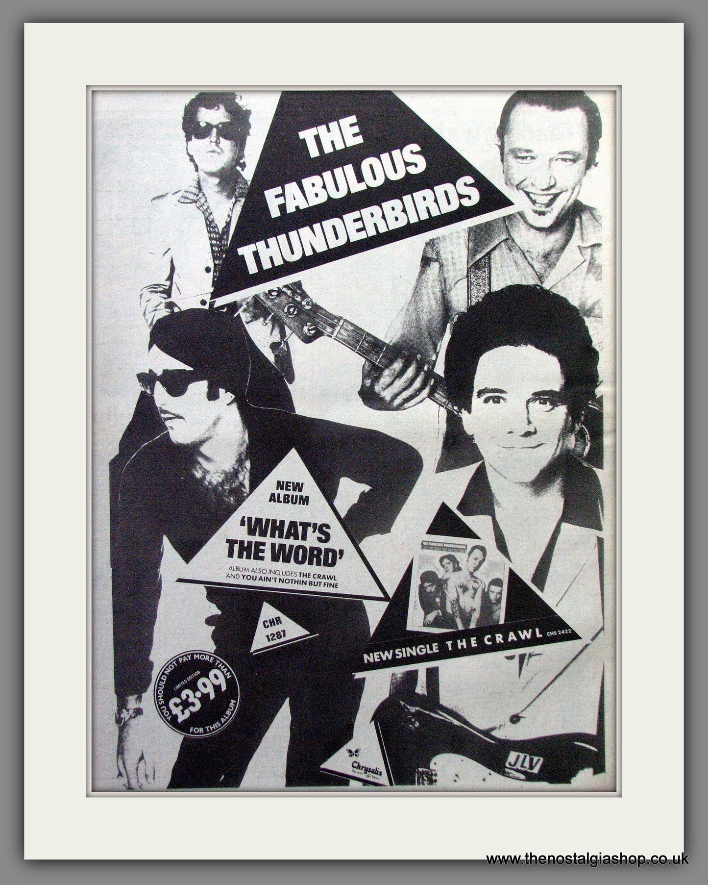 Fabulous Thunderbirds (The) What's The Word. Original Advert 1980 (ref AD13037)