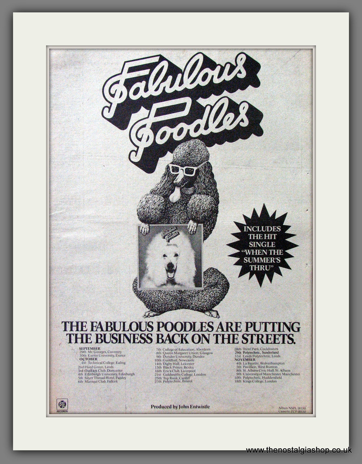 Fabulous Poodles Tour Dates. Original Advert 1977 (ref AD13067)