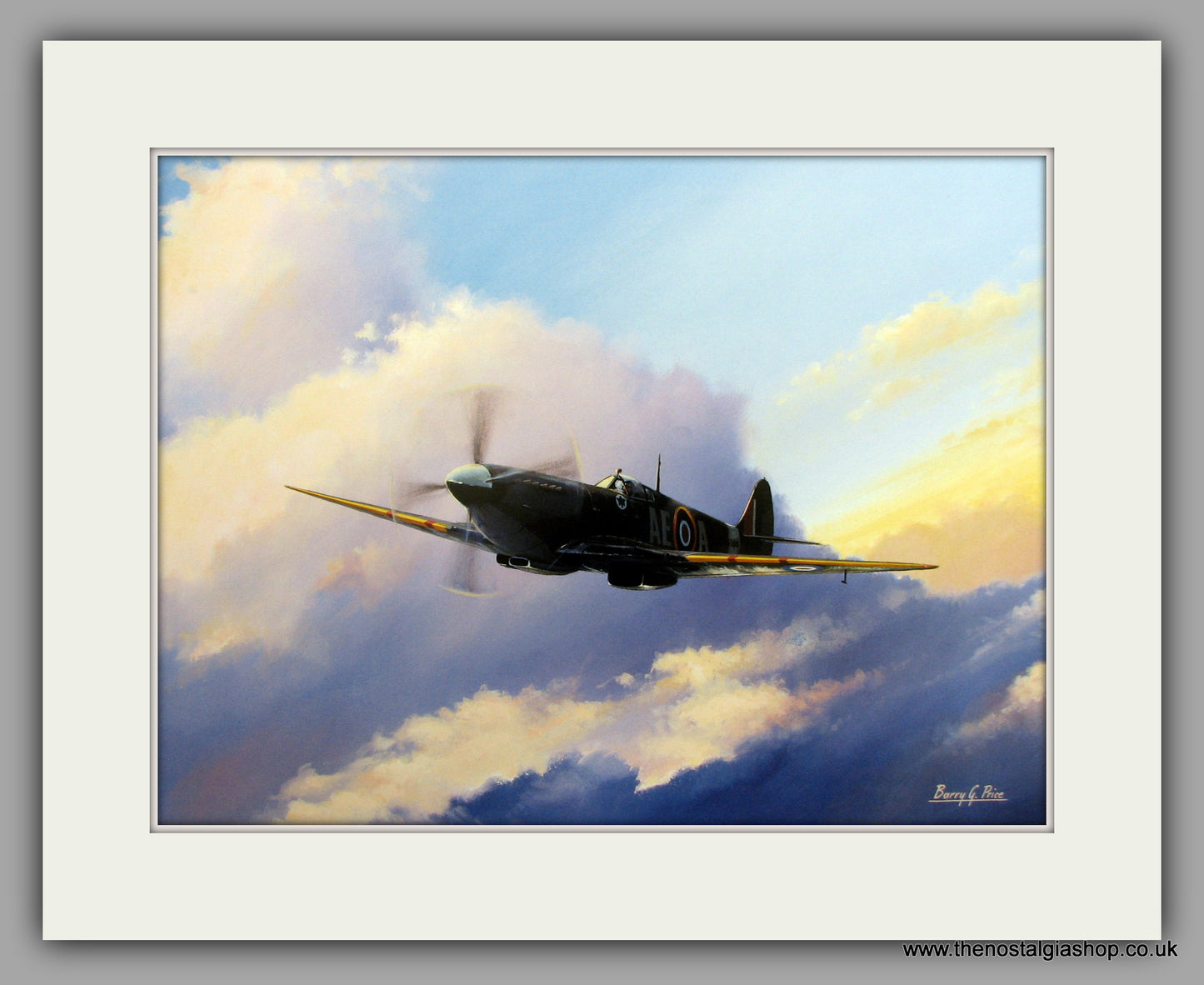 Spitfire Mark IX. Mounted Aircraft print (ref N30)