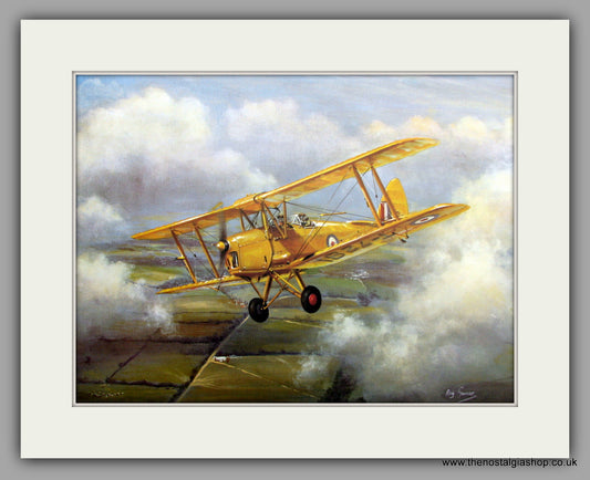 Tiger Moth. Mounted Aircraft print (ref N36)
