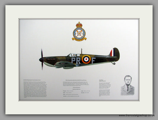 Spitfire Mk Ia No.X4590 PR-F. Mounted Aircraft print (ref AP001)