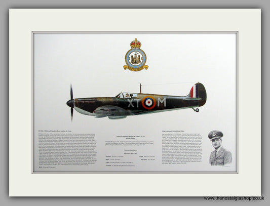 Spitfire Mk Ia X4277 XT - M. Mounted Aircraft print (ref AP015)