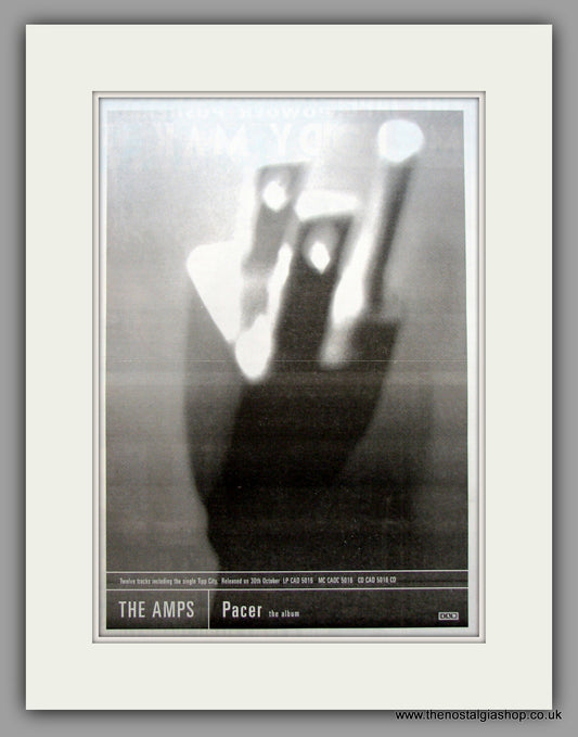 Amps (The)-Pacer.  Original Vintage Advert 1995 (ref AD10592)