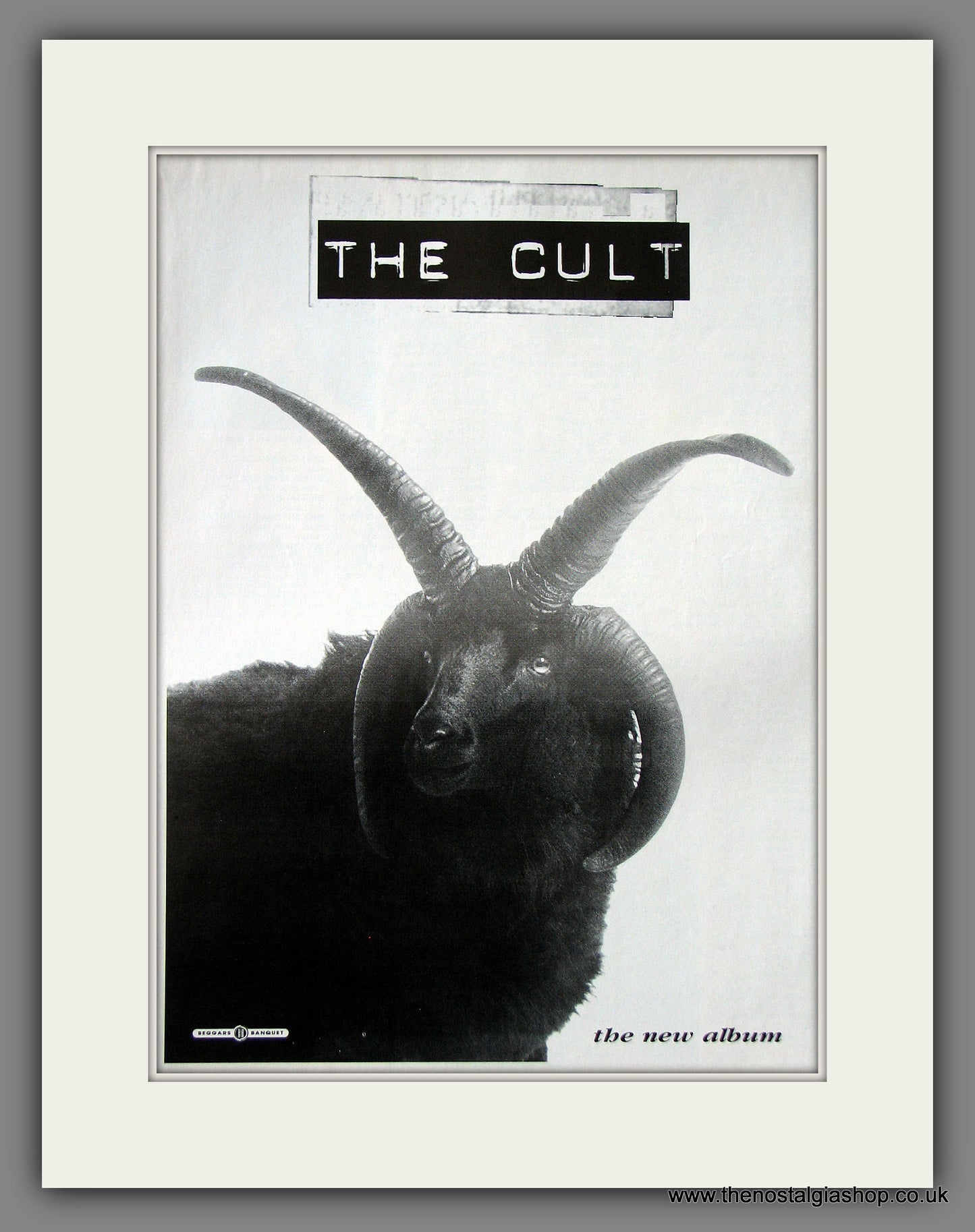 Cult (The) New Album. Original Music Advert 1994 (ref AD55515)