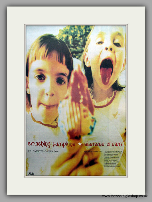 Smashing Pumpkins (The). Siamese Dream, Plus Tour Dates. Original Vintage Advert 1993 (ref AD11055)