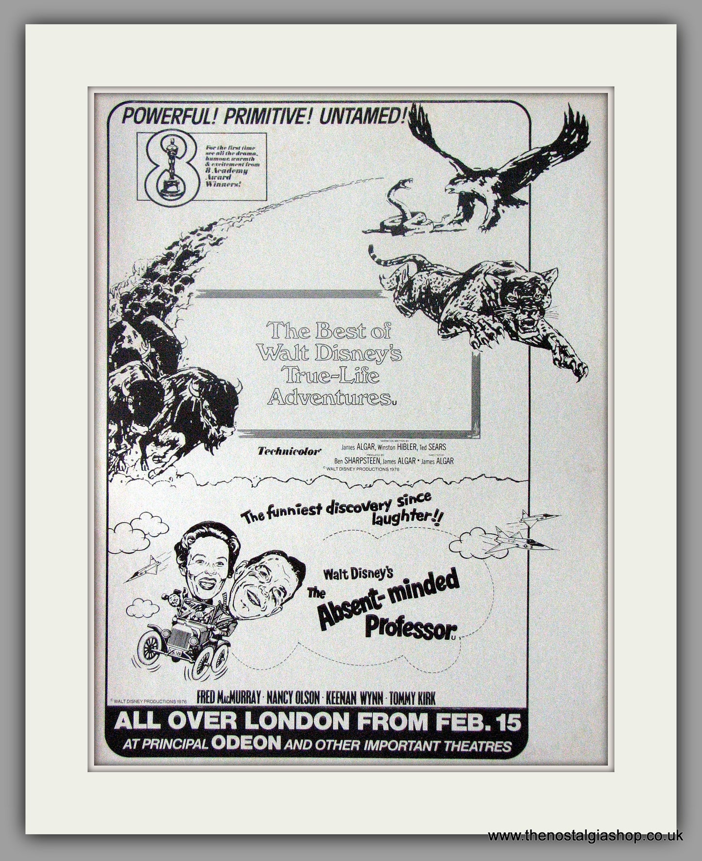 Absent Minded Professor (The). Original advert 1976 (ref AD50509)