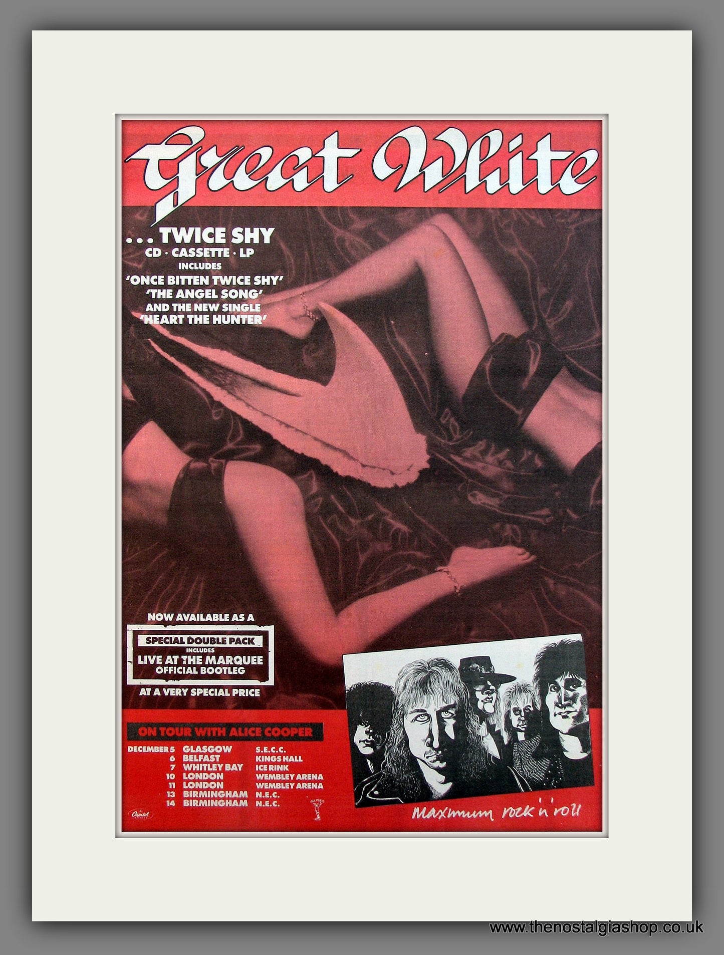 Great White Once Bitten Twice Shy. Original Vintage Advert 1989 (ref AD13264)