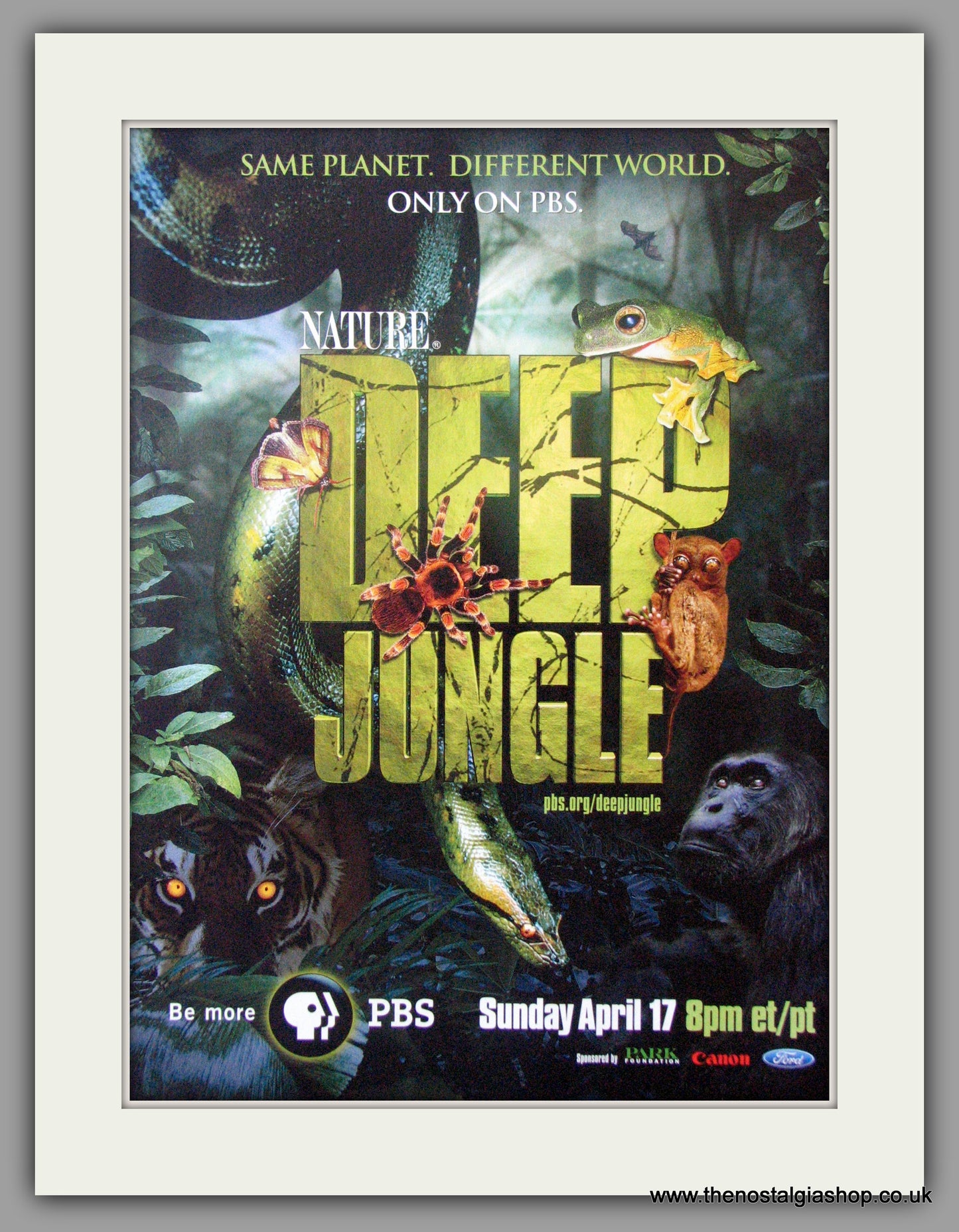 Deep Jungle. Original Advert 2005 (AD50652)