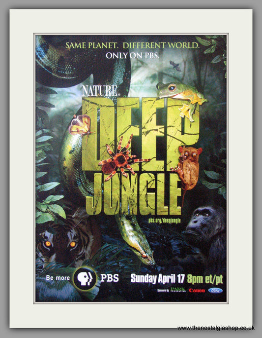 Deep Jungle. Original Advert 2005 (AD50652)