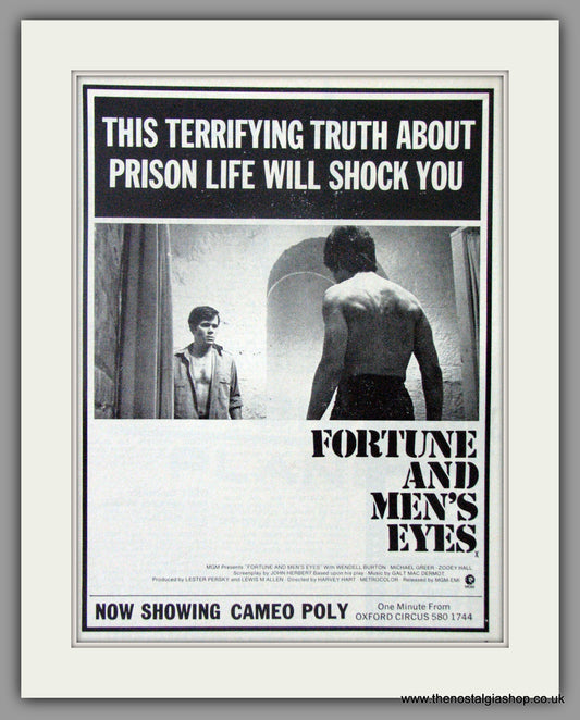 Fortune And Men's Eyes. Original Advert 1972  (AD50762)