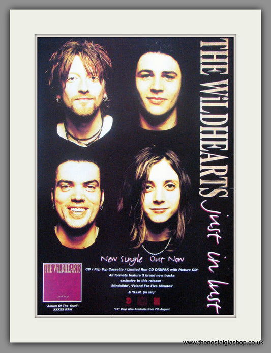 Wildhearts. Just in Lust. 1995 Original Advert (ref AD51002)