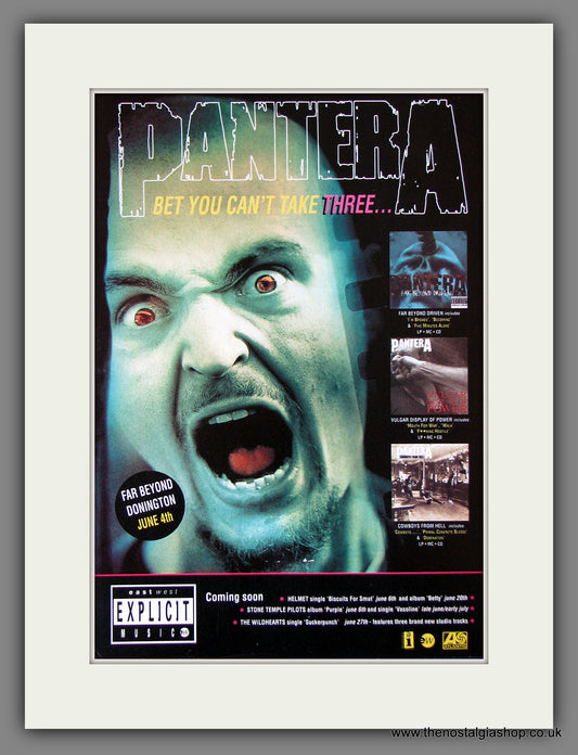 Pantera. Far Beyond Donington. 1994 Original Advert (ref AD55846)