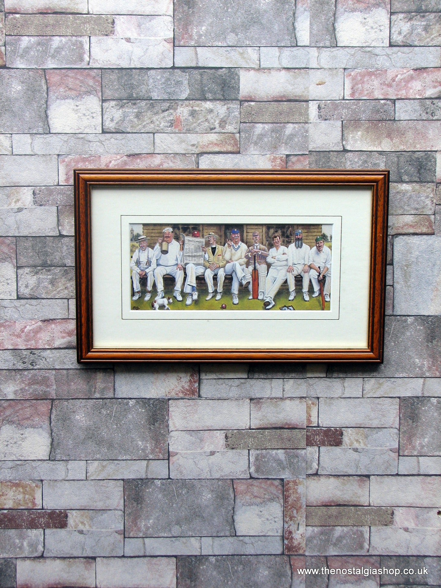 Cricket. Framed Print.