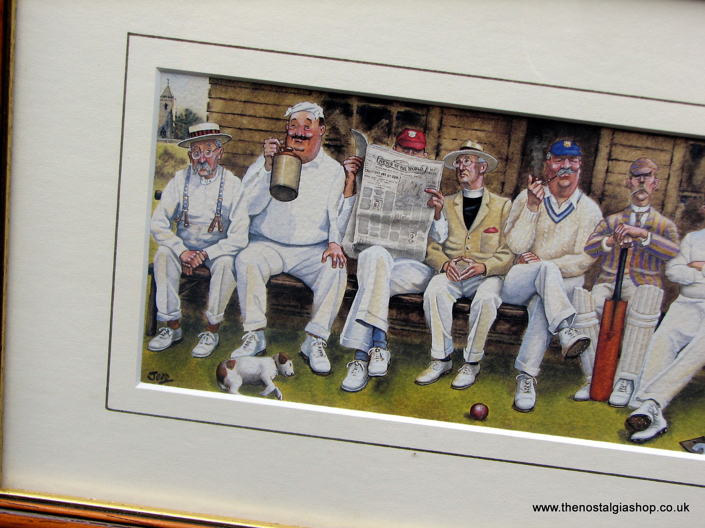 Cricket. Framed Print.