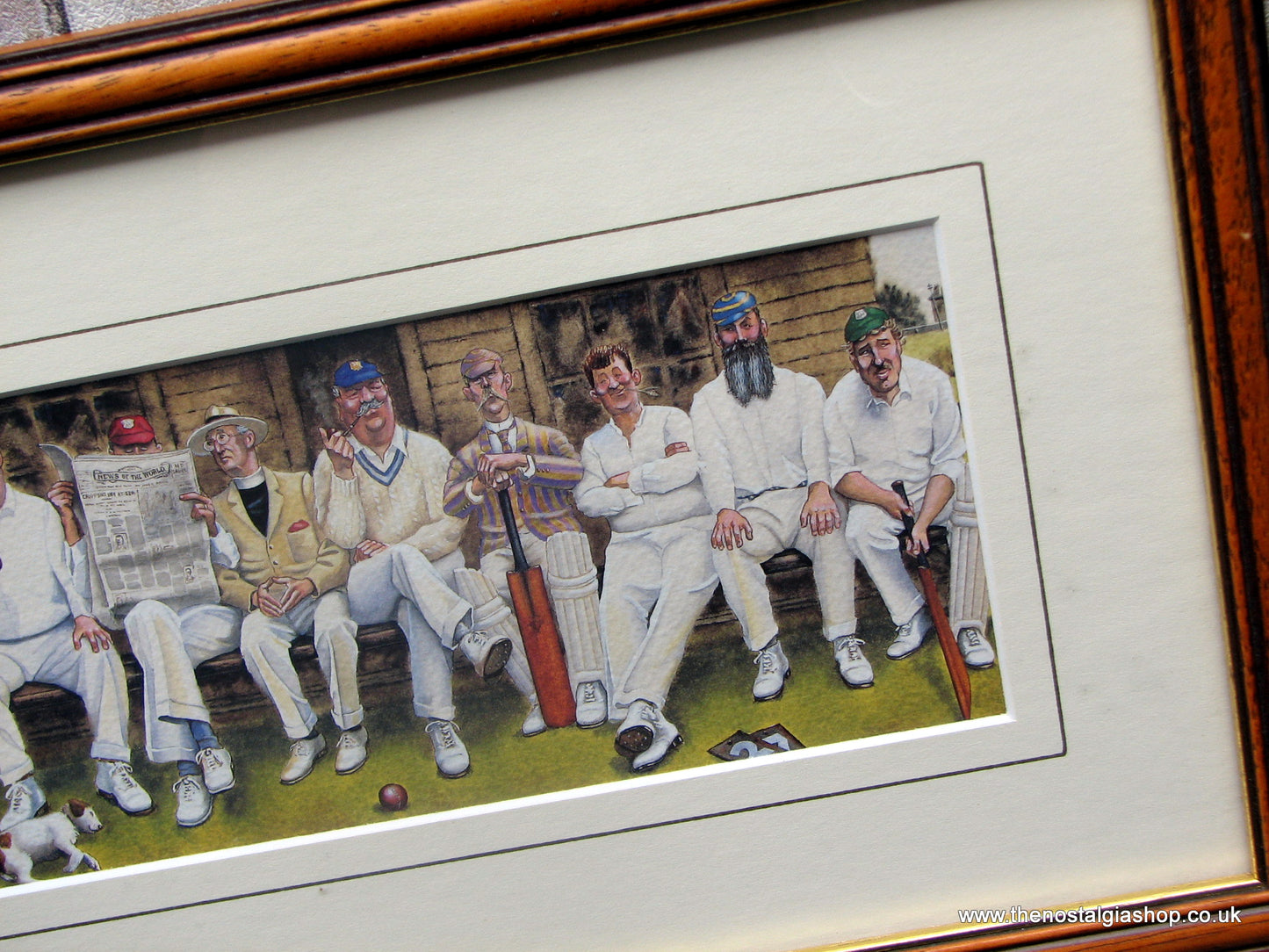 Cricket. Framed Print.
