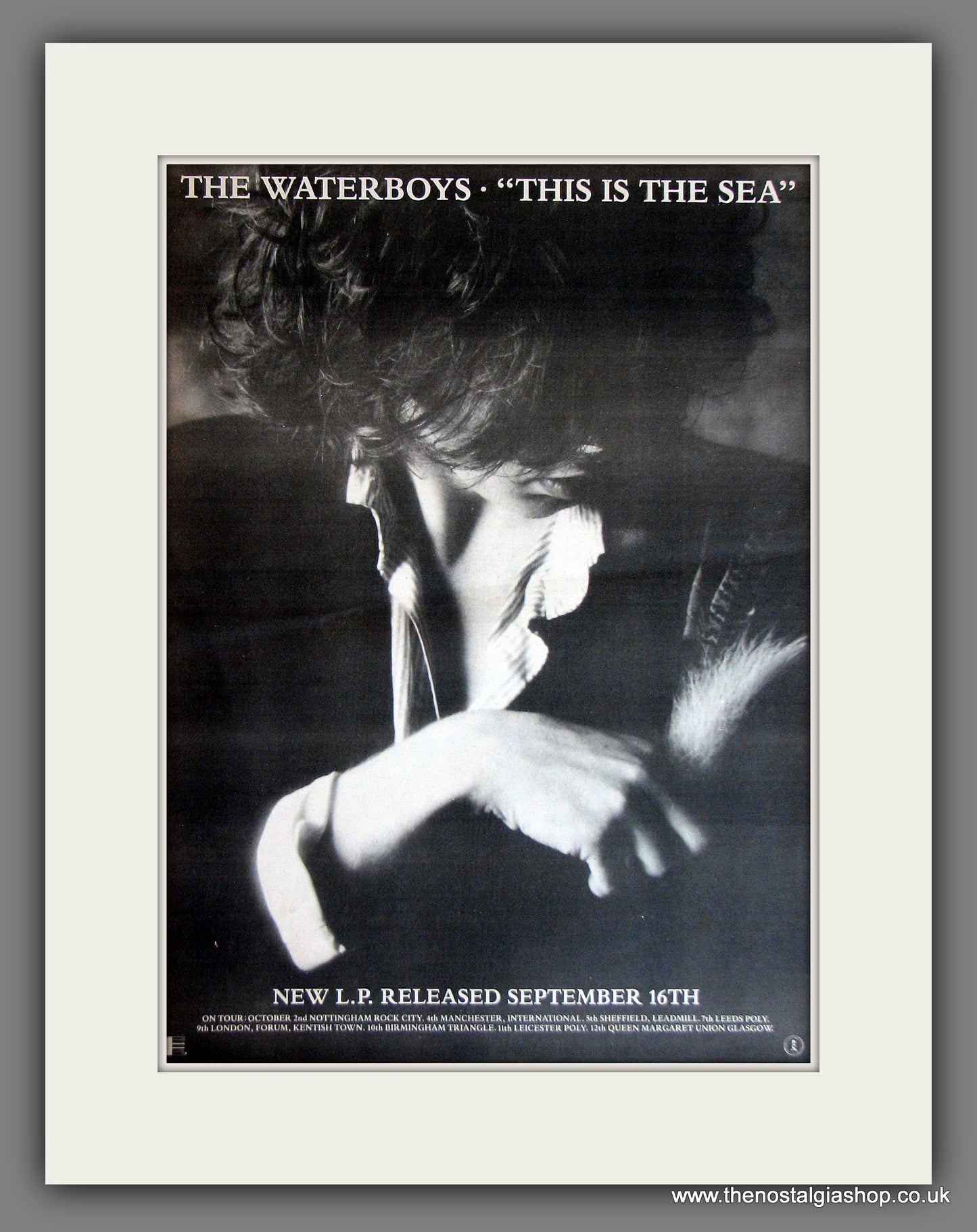 Waterboys (The) This Is The Sea. Original Advert 1985 (ref AD13760)