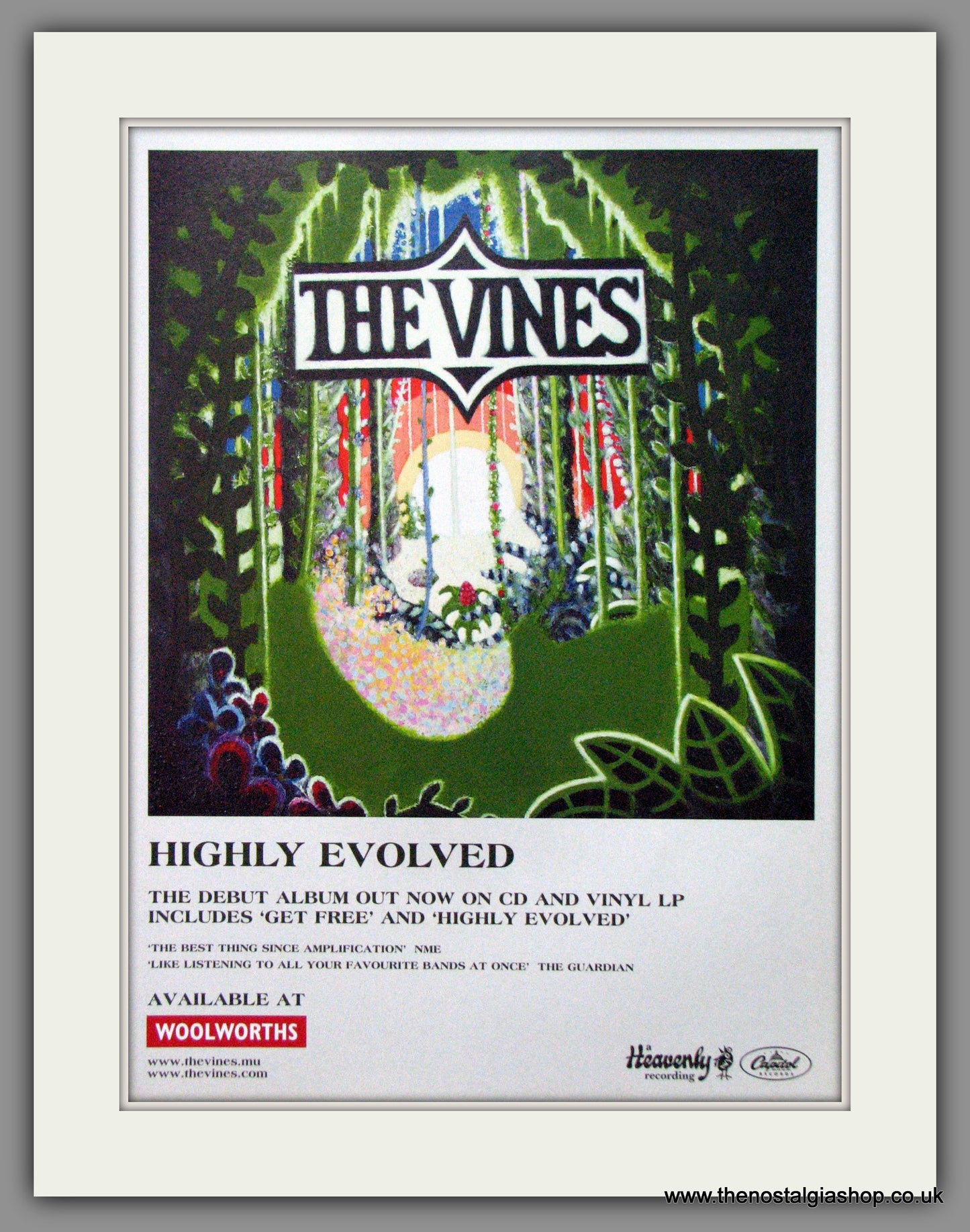 Vines (The) Highly Evolved. 2002 Original Advert (ref AD53324)