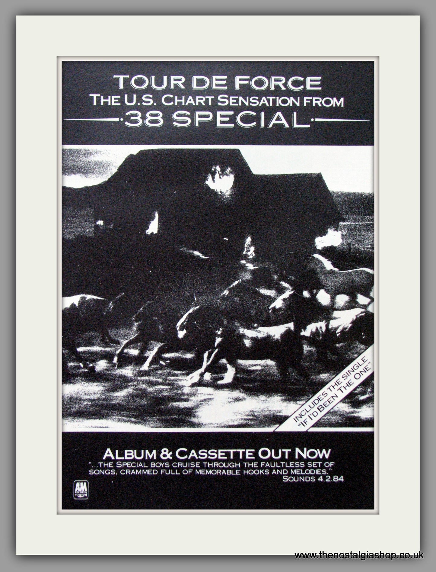 38 Special, Tour De Force. 1984 Original Advert (ref AD52719)