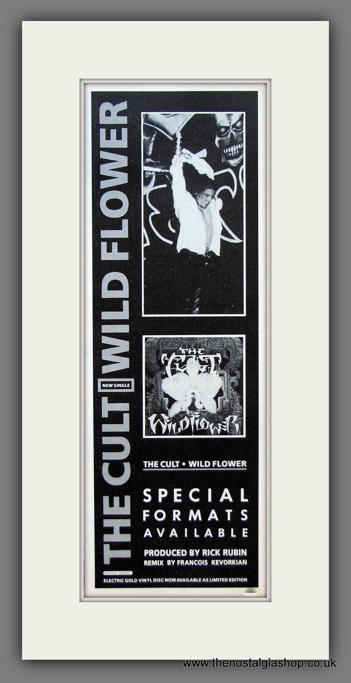 Cult (The) Wild Flower. Original Advert 1987 (ref AD400017)