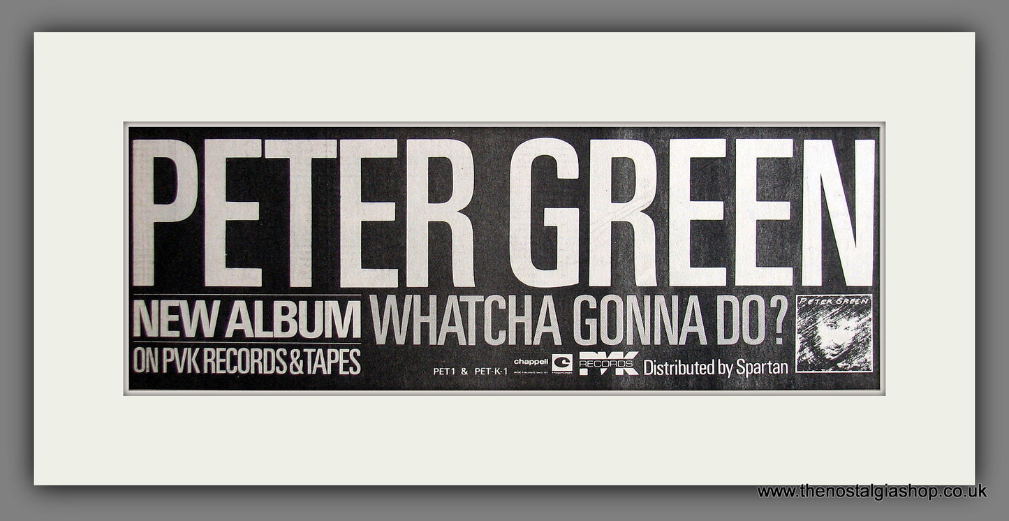 Peter Green. Whatcha Gonna Do? Original Advert 1981 (ref AD200159)