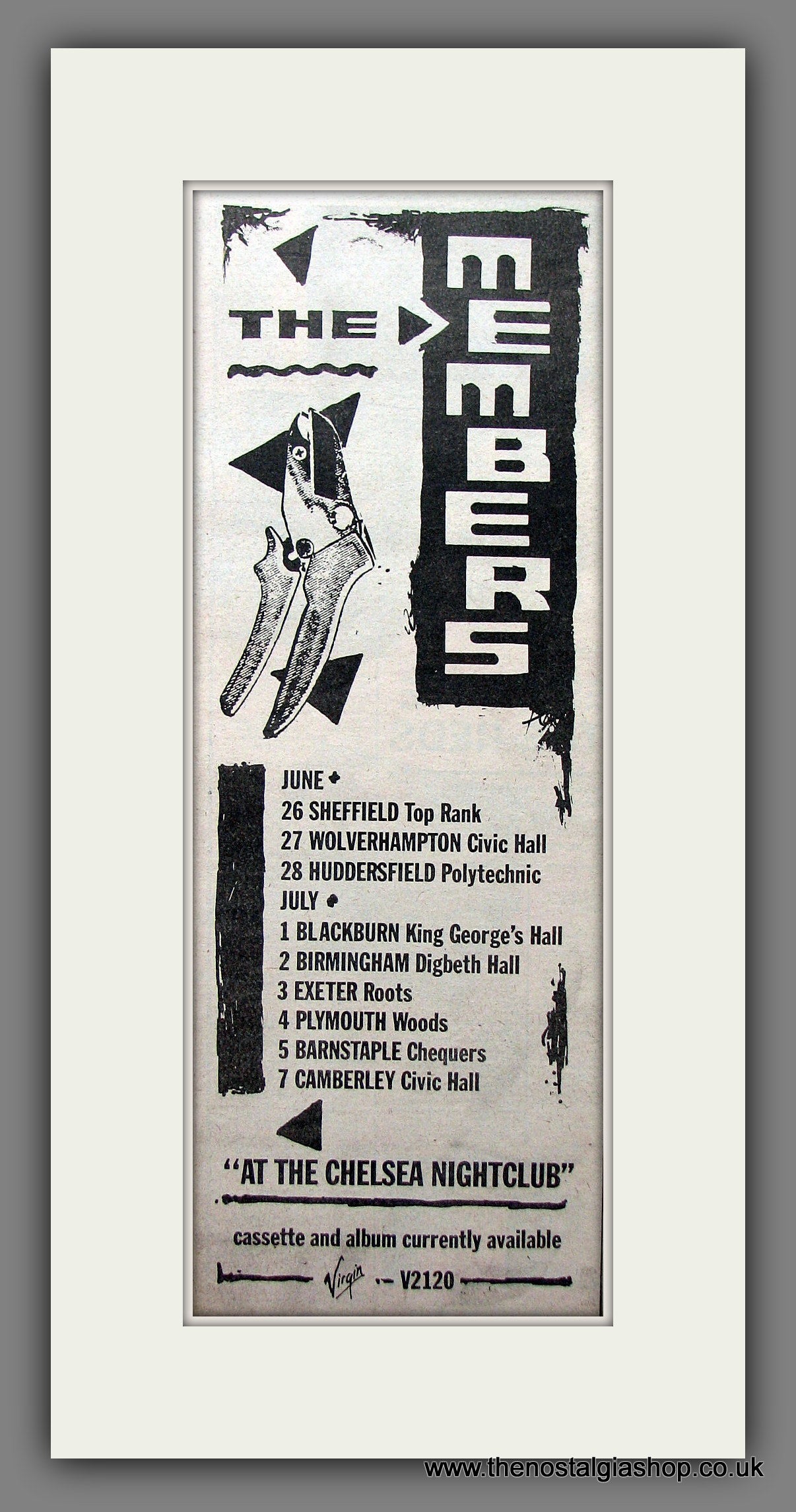 Members (The) At The Chelsea Nightclub. Original Advert 1979 (ref AD200169)