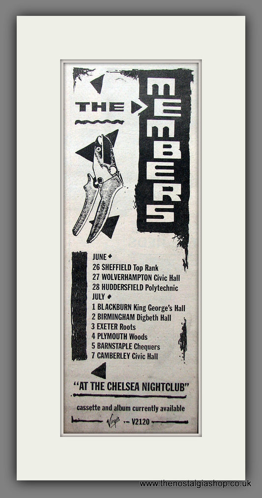 Members (The) At The Chelsea Nightclub. Original Advert 1979 (ref AD200169)