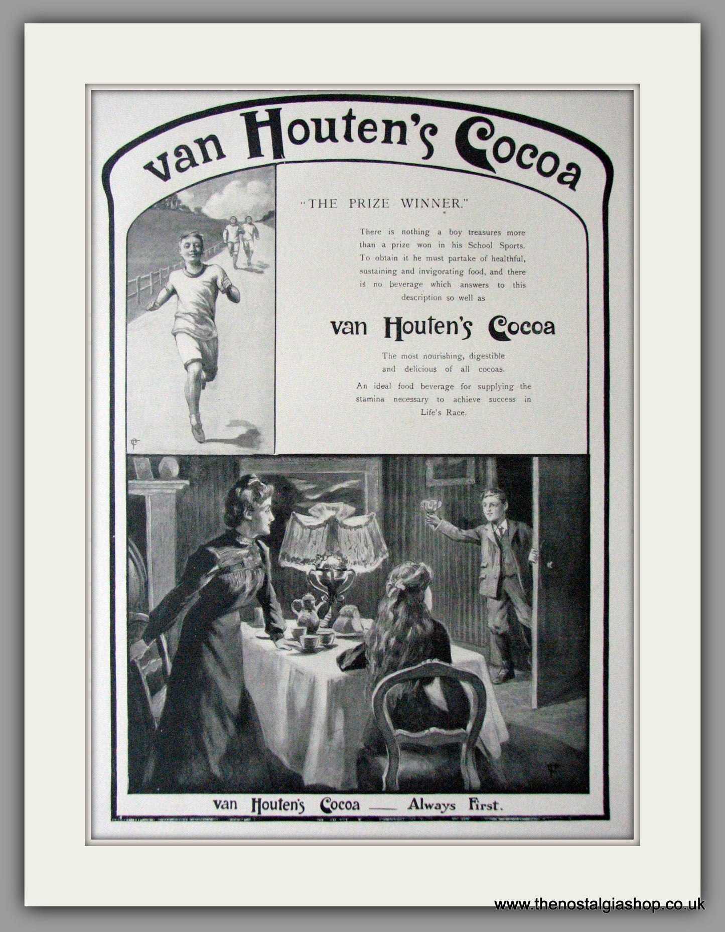 Van Houten's Cocoa. Original Advert 1903 (ref AD11427)