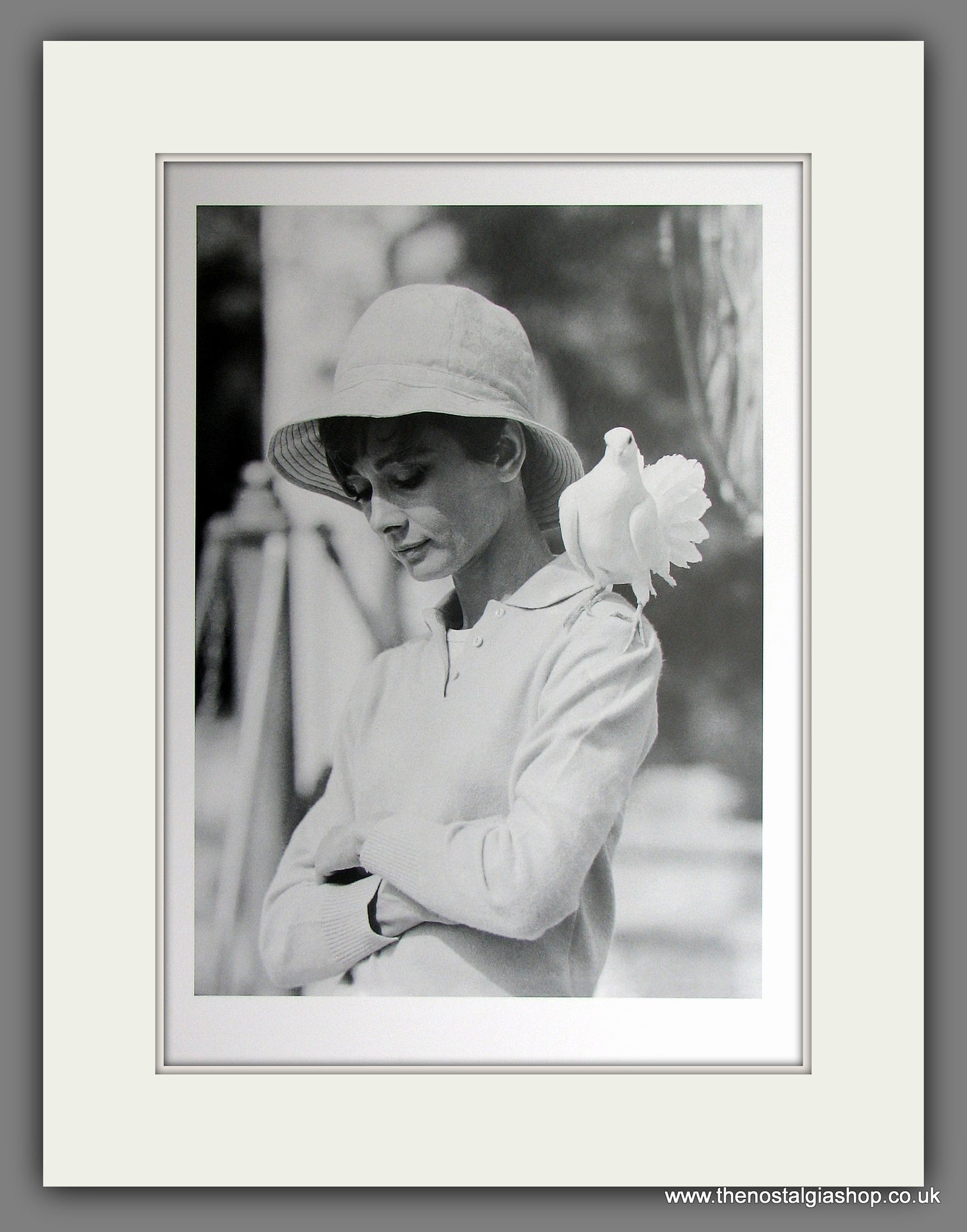 Audrey Hepburn. Mounted Print.