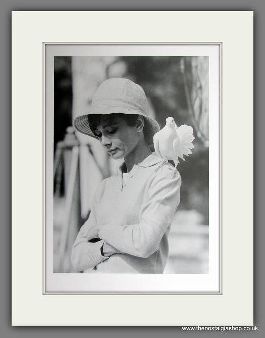 Audrey Hepburn. Mounted Print.