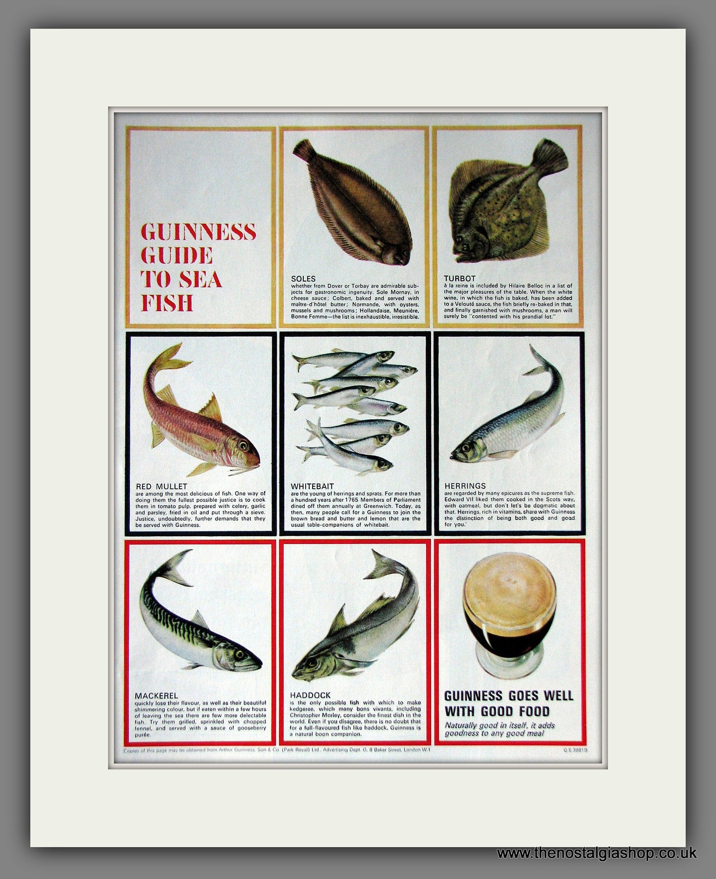 Guinness Guide To Sea Fish. 1965 Original Advert  (ref AD56323)