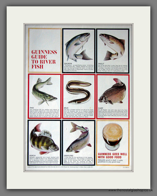 Guinness Guide To River Fish. 1965 Original Advert  (ref AD56329)