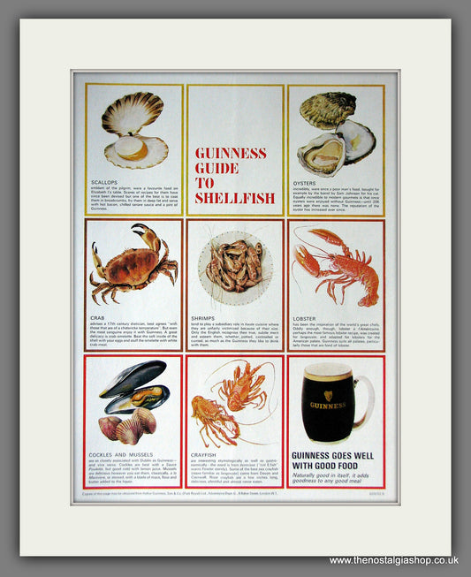 Guinness Guide To Shellfish. 1966 Original Advert  (ref AD56330)