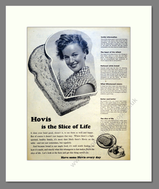 Hovis Bread. Vintage Advert 1955 (ref AD301440)