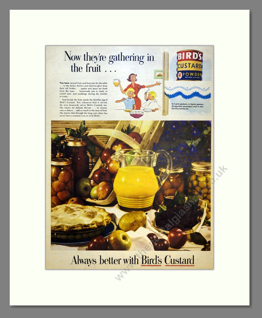 Bird's Custard. Vintage Advert 1951 (ref AD301736)