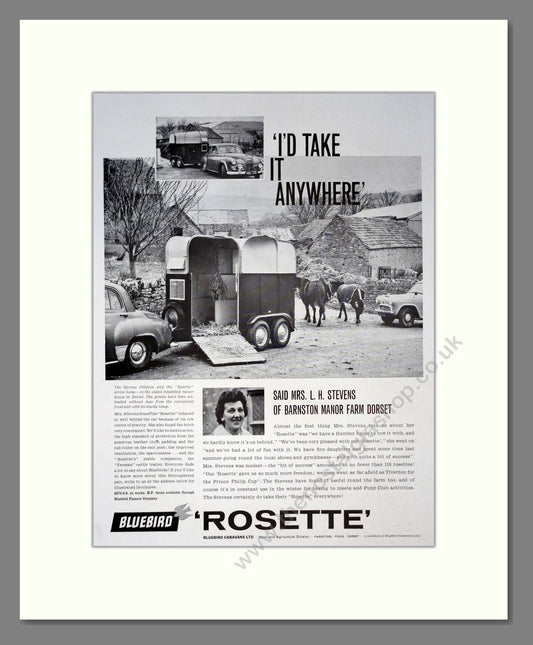 Bluebird Rosette Horsebox. Vintage Advert (ref AD301757)